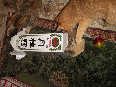 anagama kiln's cats