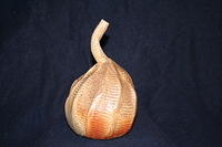 stomach bottle
